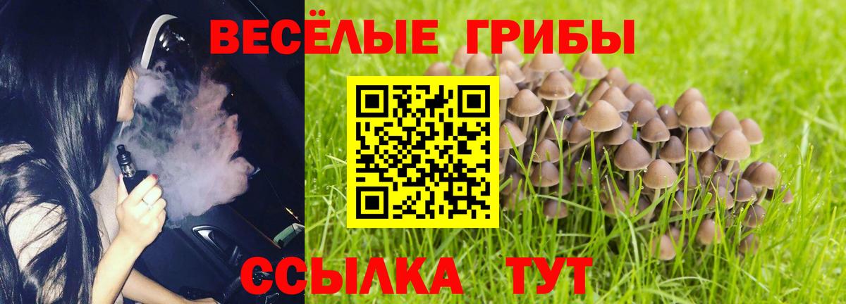 Псилоцибиновые грибы GOLDEN TEACHER  Псилоцибиновые грибы Psilocybine cubensis  Вход с VPN  наркотики  Асино 