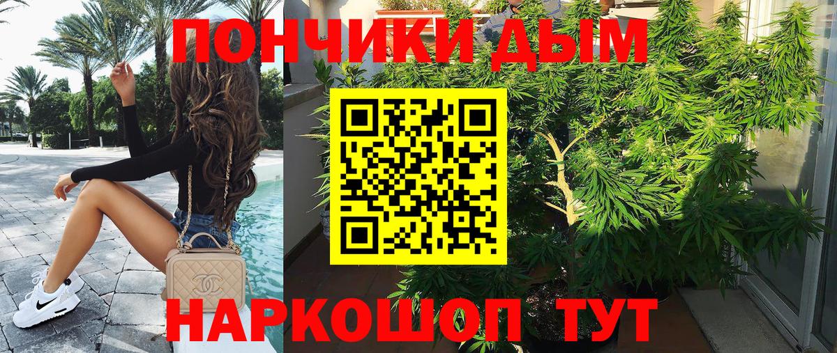 Бошки марихуана ГИДРОПОН Асино